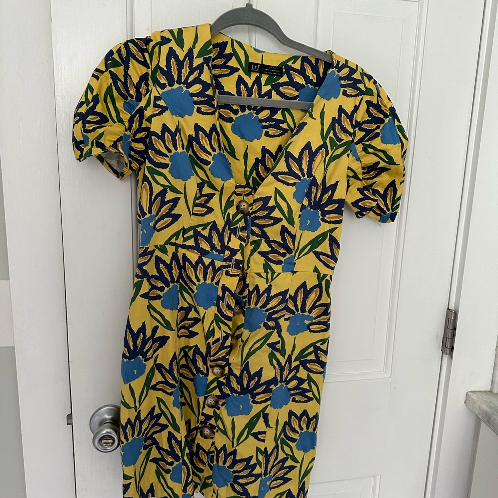 Zara Blue and Yellow Floral Dress